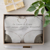 ヴィンテージ甲殻類科学デコパージュ 薄葉紙 (ギフト)