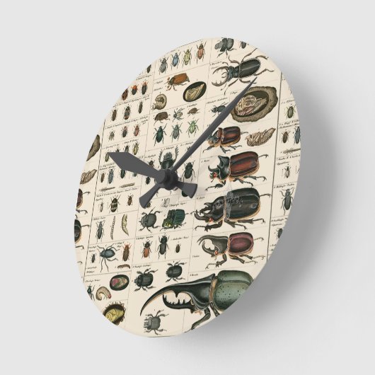 ヴィンテージ甲虫イラストレーション ラウンド壁時計 (傾斜)
