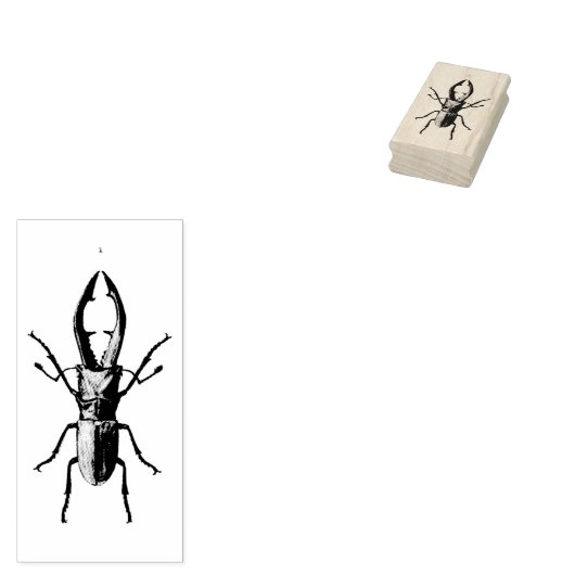 ヴィンテージ甲虫イラストレーション ラバースタンプ (押印)