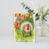 ヴィンテージ白い七面鳥の草 ポストカード (スタンド正面)