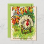 ヴィンテージ白い七面鳥の草 ポストカード (正面/裏面)