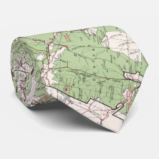 ヴィンテージ白い山の国有林の地図(1863年) ネクタイ (ロール)