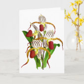 ヴィンテージ白い赤い蘭の花 カード (黄色い花)
