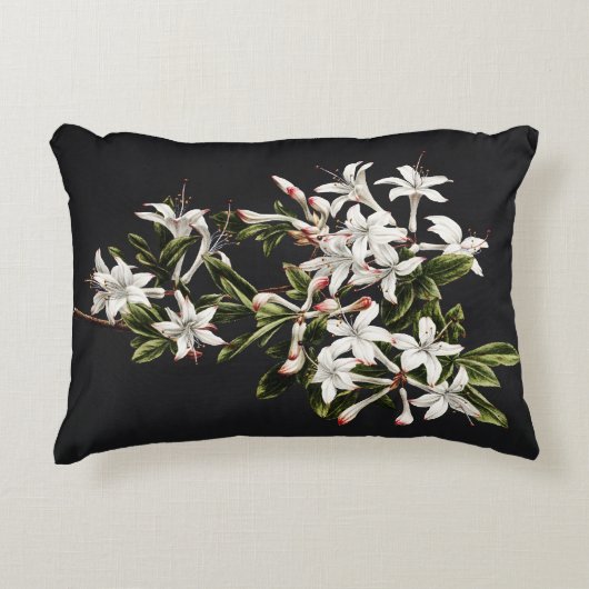 ヴィンテージ白つつじ開花 アクセントクッション (正面)