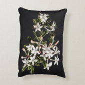 ヴィンテージ白つつじ開花 アクセントクッション (裏面(縦))