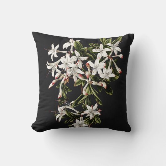 ヴィンテージ白つつじ開花 クッション (正面)