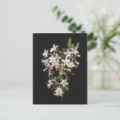 ヴィンテージ白つつじ開花 ポストカード (スタンド正面)