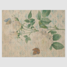 ヴィンテージ白バラと蝶の切り離