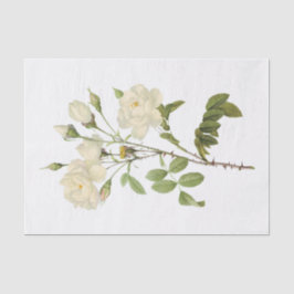 ヴィンテージ白バラ#2花フローラ 薄葉紙