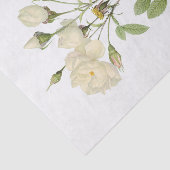 ヴィンテージ白バラ#2花フローラ 薄葉紙 (詳細)