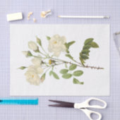 ヴィンテージ白バラ#2花フローラ 薄葉紙 (クラフト)