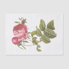 ヴィンテージ白バラ#3花フローラ 薄葉紙