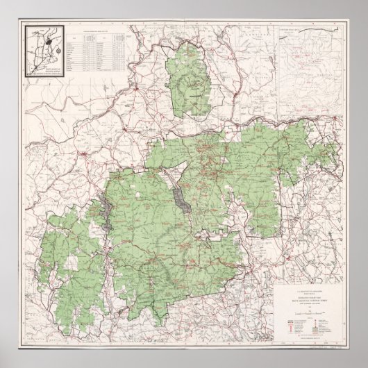 ヴィンテージ白山国家森林地図(1863) ポスター (正面)