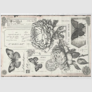 ヴィンテージ白牡丹と蝶 薄葉紙