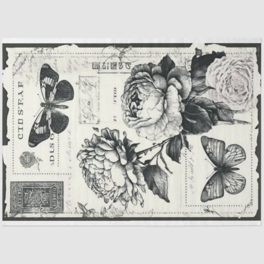 ヴィンテージ白牡丹と蝶 薄葉紙 (正面)