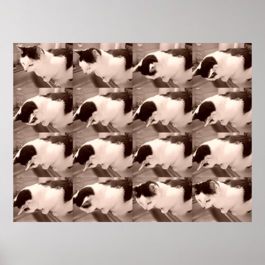 ヴィンテージ白猫 ポスター (正面)