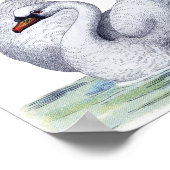 ヴィンテージ白鳥スイミングポスター ポスター (角)