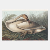 ヴィンテージ白鳥 ラッピングペーパーシート (正面3)