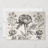 ヴィンテージ白黒の植物花フローラ 招待状 (裏面)