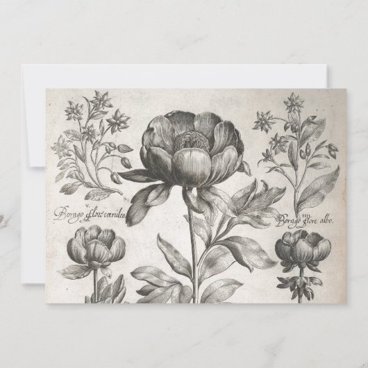 ヴィンテージ白黒の植物花フローラ 招待状 (裏面)