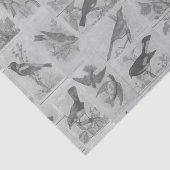 ヴィンテージ白黒オードボンバードティッシュペーパー 薄葉紙 (詳細)