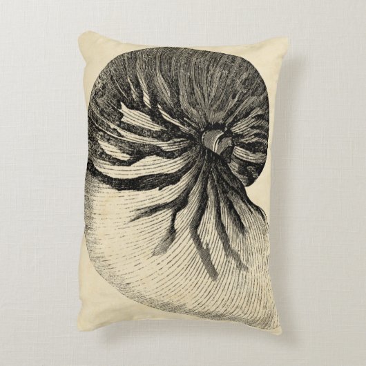 ヴィンテージ白黒コンチシェル アクセントクッション (裏面(縦))