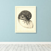 ヴィンテージ白黒コンチシェル キャンバスプリント (インサイチュ (ウッドフロア))