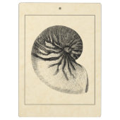 ヴィンテージ白黒コンチシェル クリップボード (裏面)