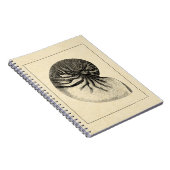 ヴィンテージ白黒コンチシェル ノートブック (右側)