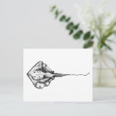 ヴィンテージ白黒スティングレイイラストレーション ポストカード (スタンド正面)