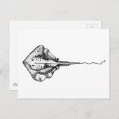 ヴィンテージ白黒スティングレイイラストレーション ポストカード (正面/裏面)