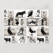 ヴィンテージ白黒王室の動物 ポストカード (正面)