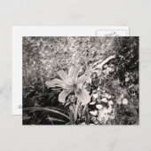 ヴィンテージ白黒百合花 ポストカード (正面/裏面)