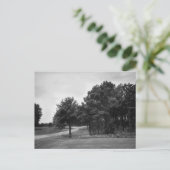 ヴィンテージ白黒葉書 ポストカード (スタンド正面)