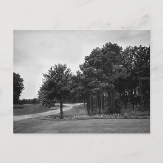 ヴィンテージ白黒葉書 ポストカード (正面)