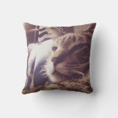 ヴィンテージ眠い猫の写真|の装飾用クッション クッション (裏面)