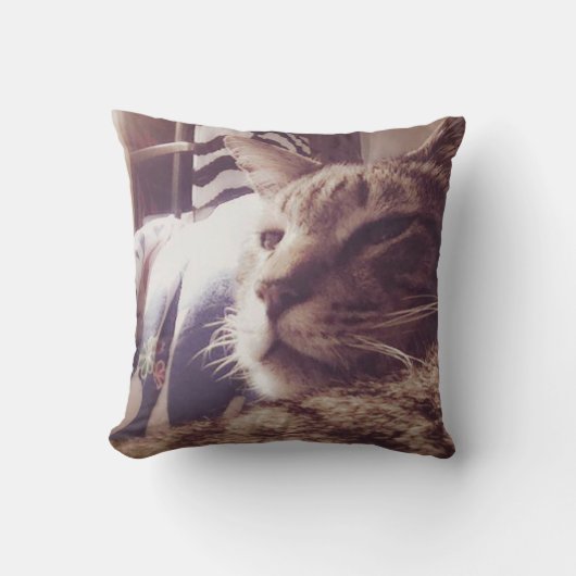 ヴィンテージ眠い猫の写真|の装飾用クッション クッション (正面)