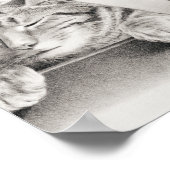 ヴィンテージ眠る猫リトグラフ1874年のスケッチ ポスター (角)