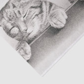 ヴィンテージ眠る猫リトグラフ, 1874デコパージュ 薄葉紙 (詳細)