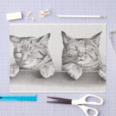 ヴィンテージ眠る猫リトグラフ, 1874デコパージュ 薄葉紙 (クラフト)