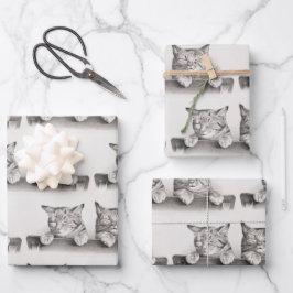 ヴィンテージ眠る猫リトグラフ， 1874 ラッピングペーパーシート