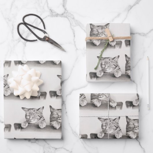 ヴィンテージ眠る猫リトグラフ, 1874 ラッピングペーパーシート (正面)