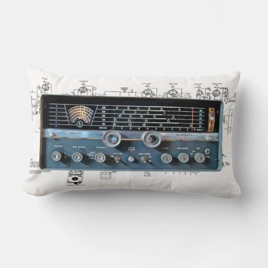 ヴィンテージ短波電波腰枕 ランバークッション (正面)