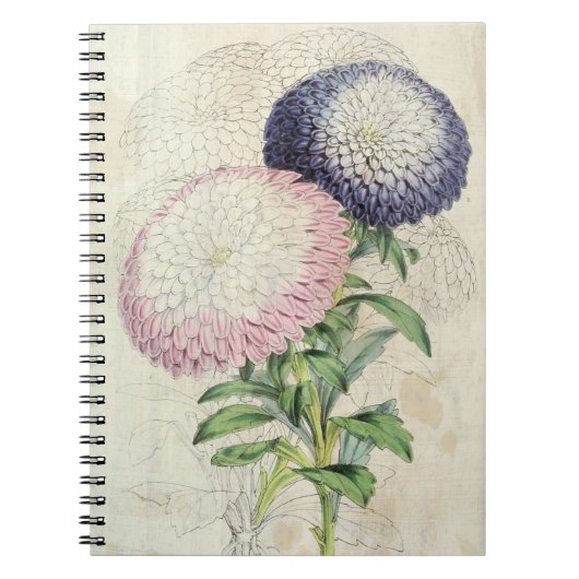 ヴィンテージ矮性菊の花ばいせん ノートブック (正面)