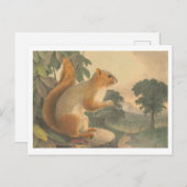 ヴィンテージ石版はがき ポストカード (正面/裏面)