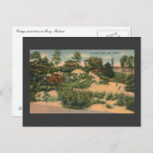 ヴィンテージ砂丘(GARY IN) ポストカード (正面/裏面)