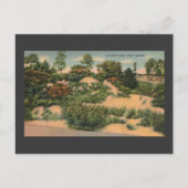 ヴィンテージ砂丘(GARY IN) ポストカード (正面)