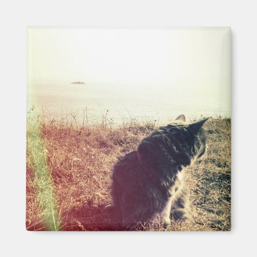 ヴィンテージ磁石 マグネット (正面)