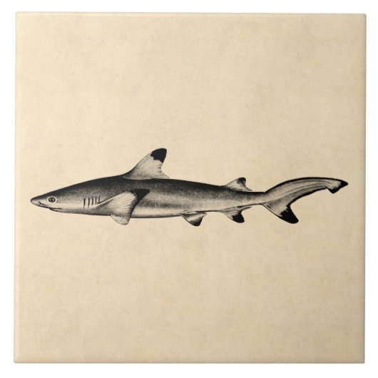 ヴィンテージ礁の鮫のイラストレーション-ひっくり返る黒 タイル (正面)