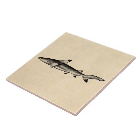 ヴィンテージ礁の鮫のイラストレーション-ひっくり返る黒 タイル (側面)